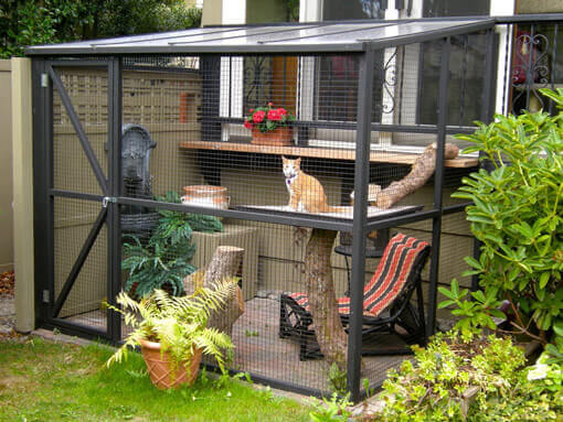 Building a Catio and Catio Design Ideas